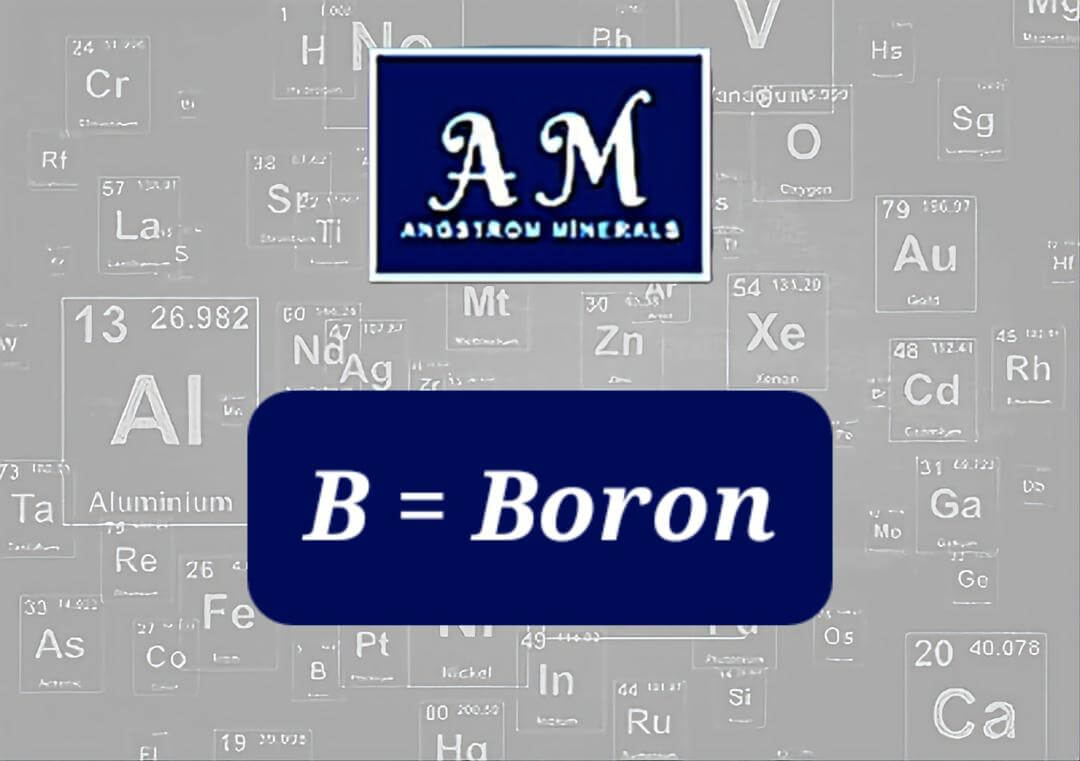 16 oz Angstrom Boron Supplement by Angstrom Minerals - Trending Wellness Store