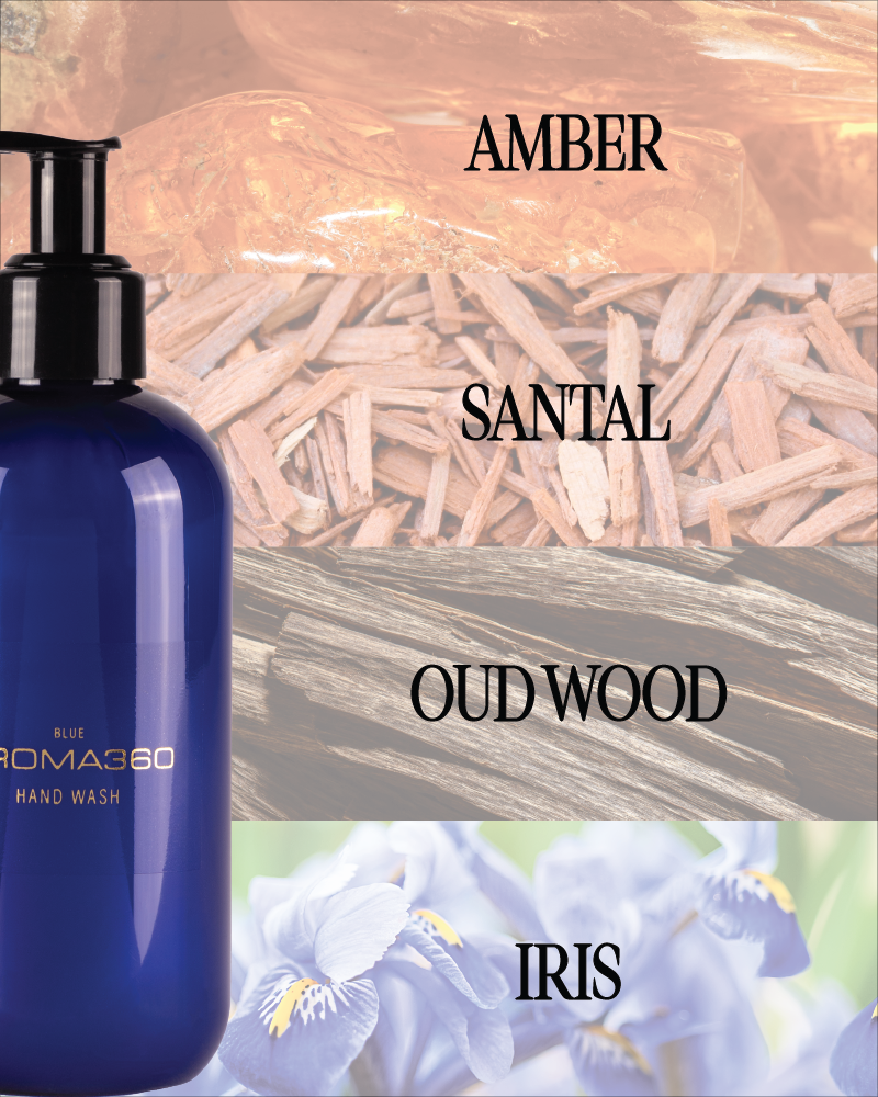 Blue Hand Wash - Trending Wellness Store