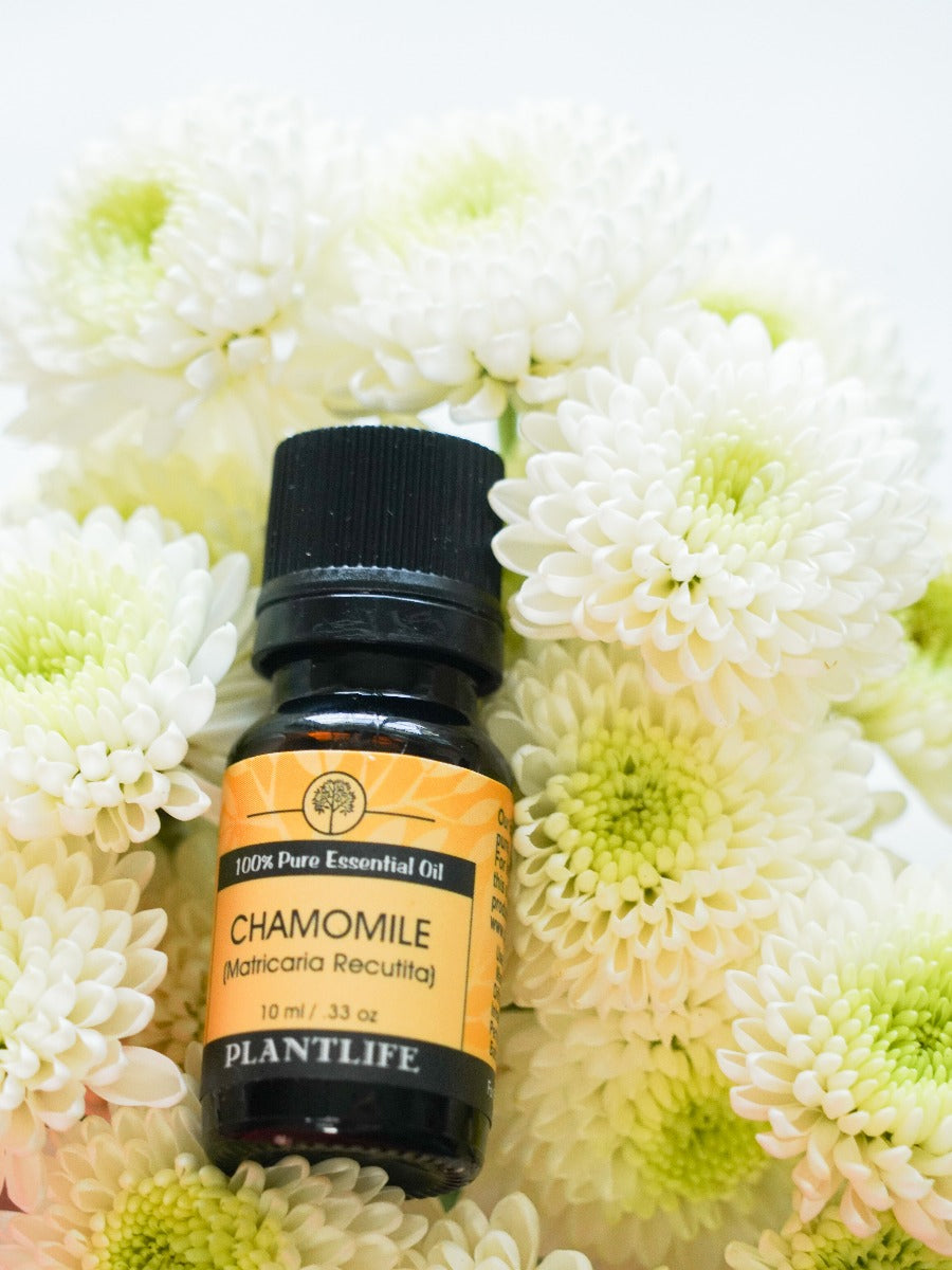 Chamomile Essential Oil - Trending Wellness Store