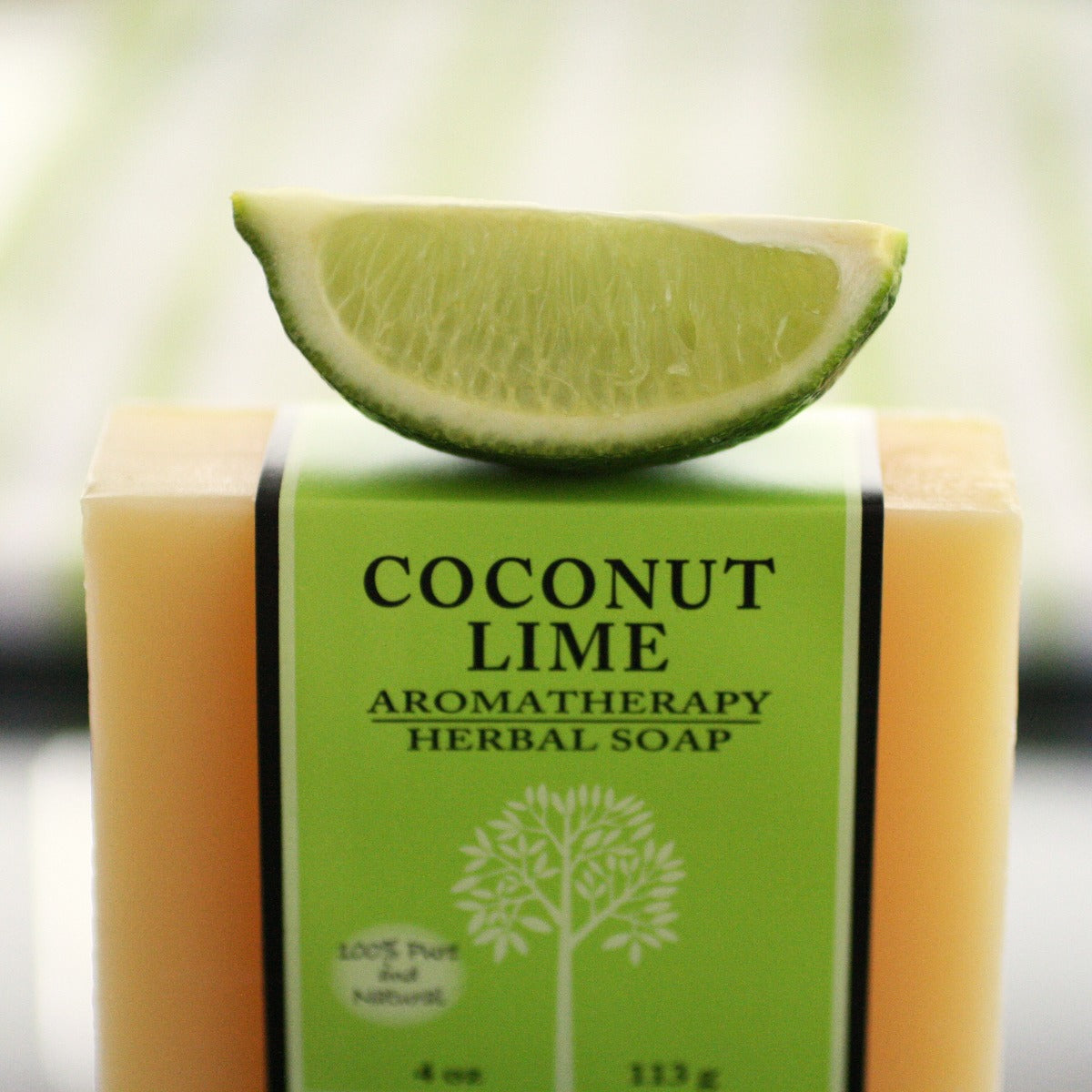 Coconut Lime Bar Soap - Trending Wellness Store