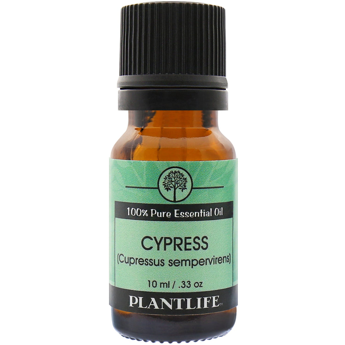 Cypress Essential Oil - Trending Wellness Store