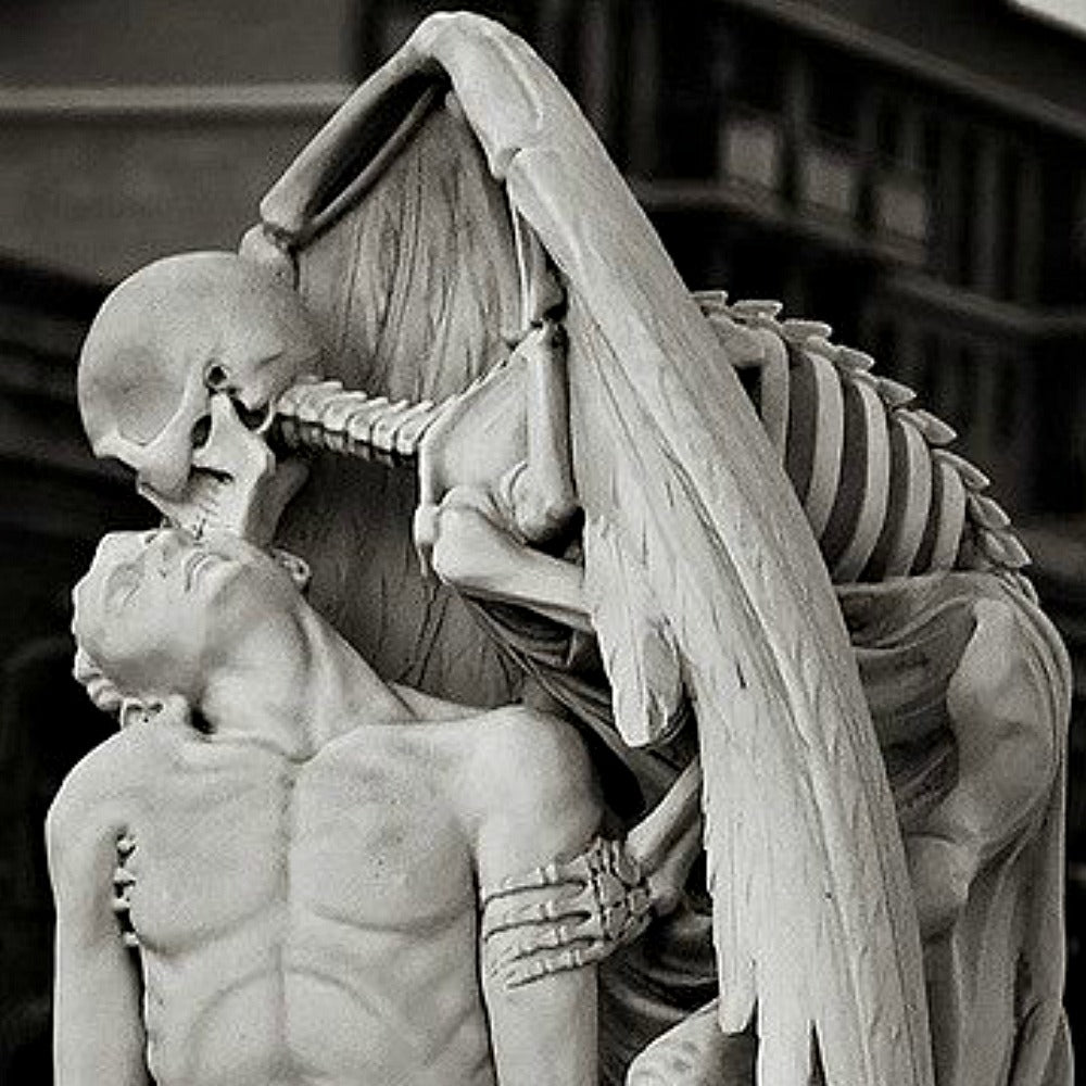 Death & Decay - Trending Wellness Store