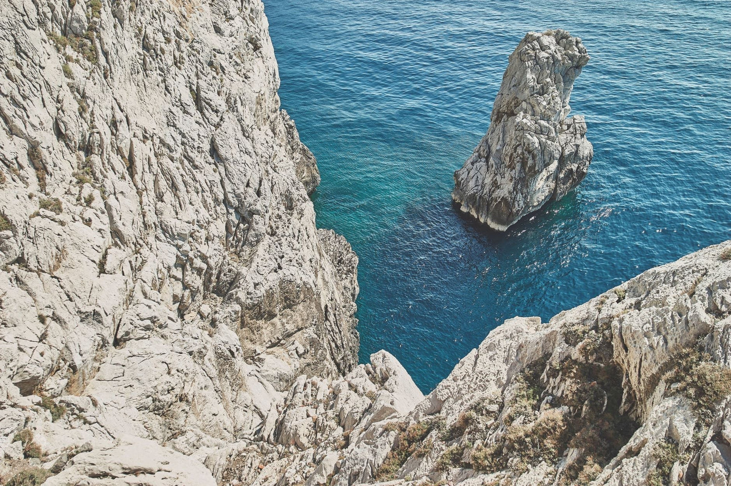 Luce di Sorrento Sublime Lux Essence Face Lotion - Trending Wellness Store