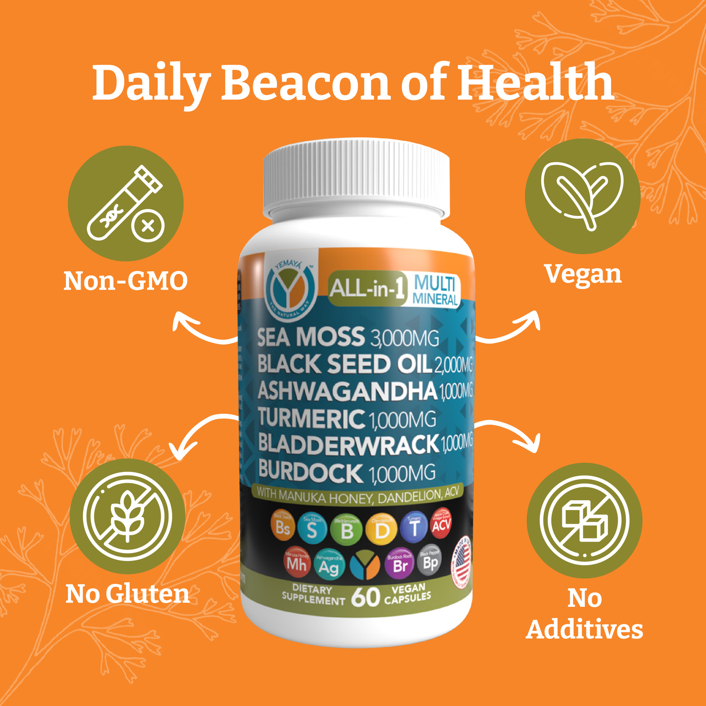 Multi-Mineral Sea Moss Black Seed Capsules - Trending Wellness Store