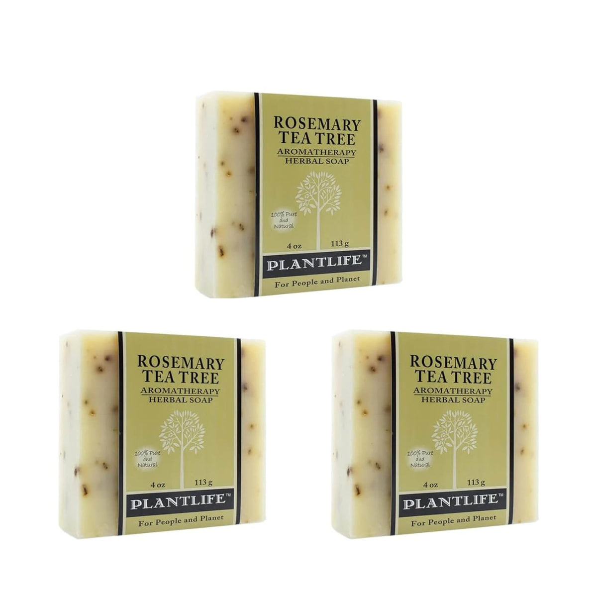 Rosemary Tea Tree - Trending Wellness Store
