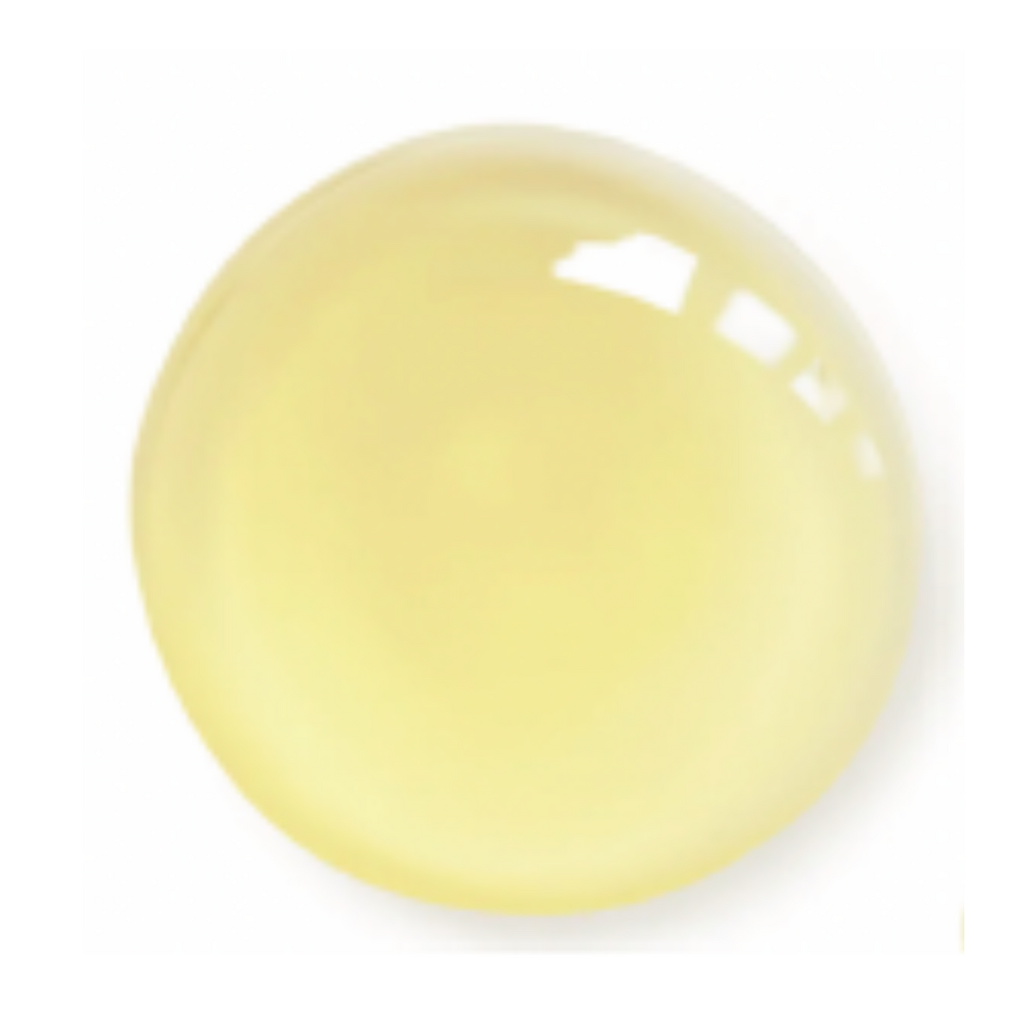 VELVET Advanced Antioxidant Face Oil - Trending Wellness Store