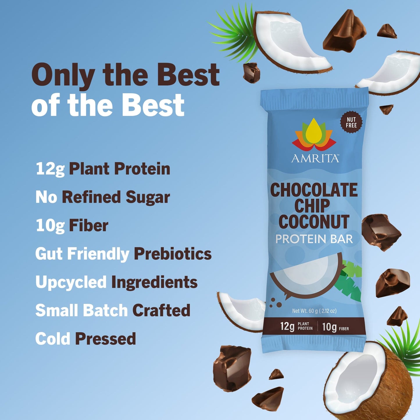 Chocolate Chip Coconut