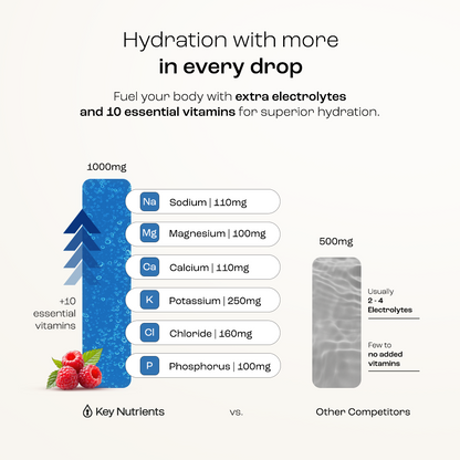 Electrolyte Recovery Plus Powder (Sugar-Free)