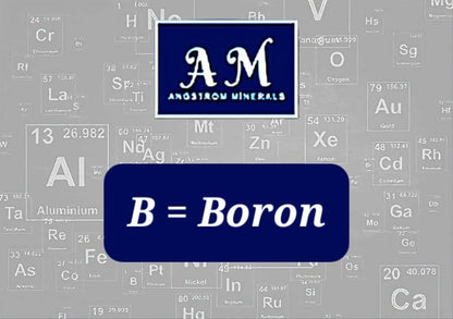 16 oz Angstrom Boron Supplement by Angstrom Minerals - Trending Wellness Store