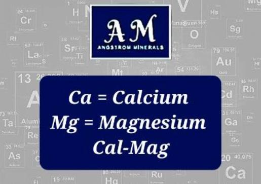 Trending Wellness Store