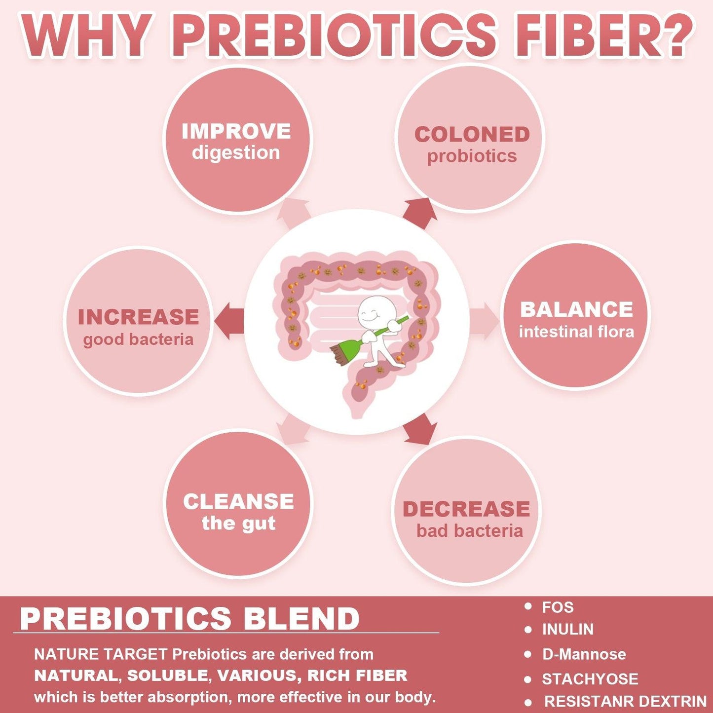 4-in-1 Probiotics, 100 Billion CFUs - Trending Wellness Store