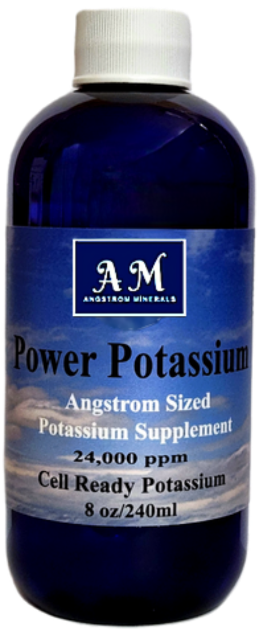 Trending Wellness Store