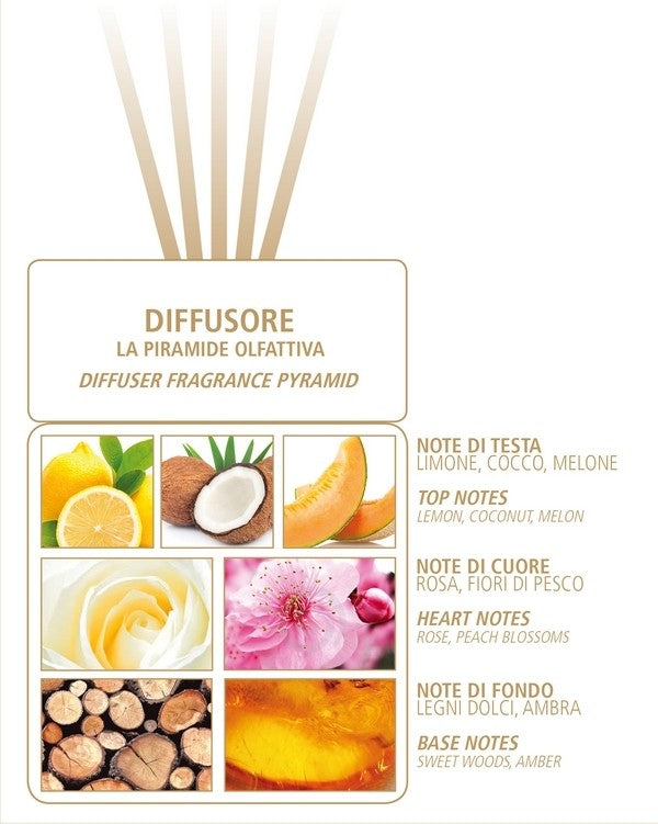 ACQUA DI BOLGHERI La Rosa Refill Fragrance for Diffuser 500 ml - Trending Wellness Store