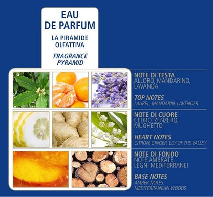 ACQUA DI BOLGHERI Uomo Eau de Parfum 50 ml - Trending Wellness Store