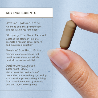 Acid Restore with Betaine and HCL - Trending Wellness Store