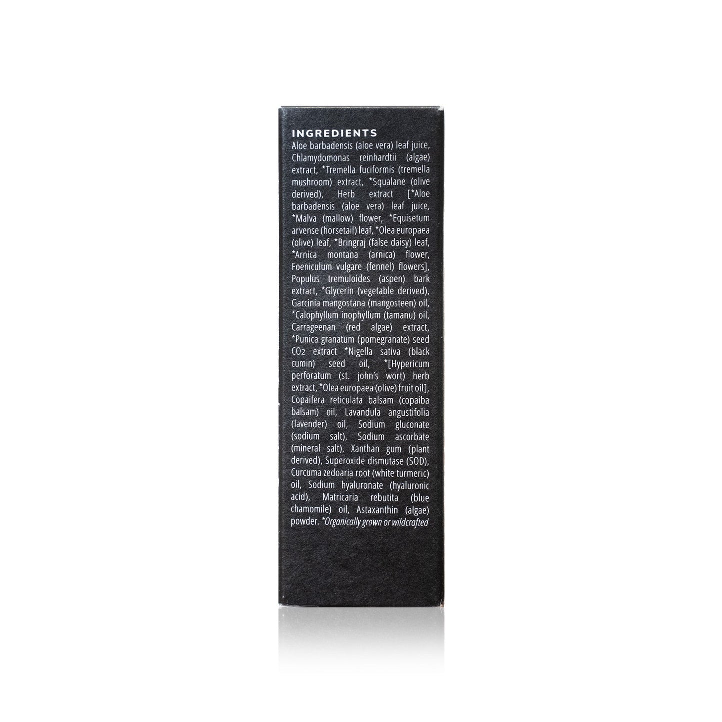 Activated Night Serum - Retinol Alternative- Collective - Trending Wellness Store