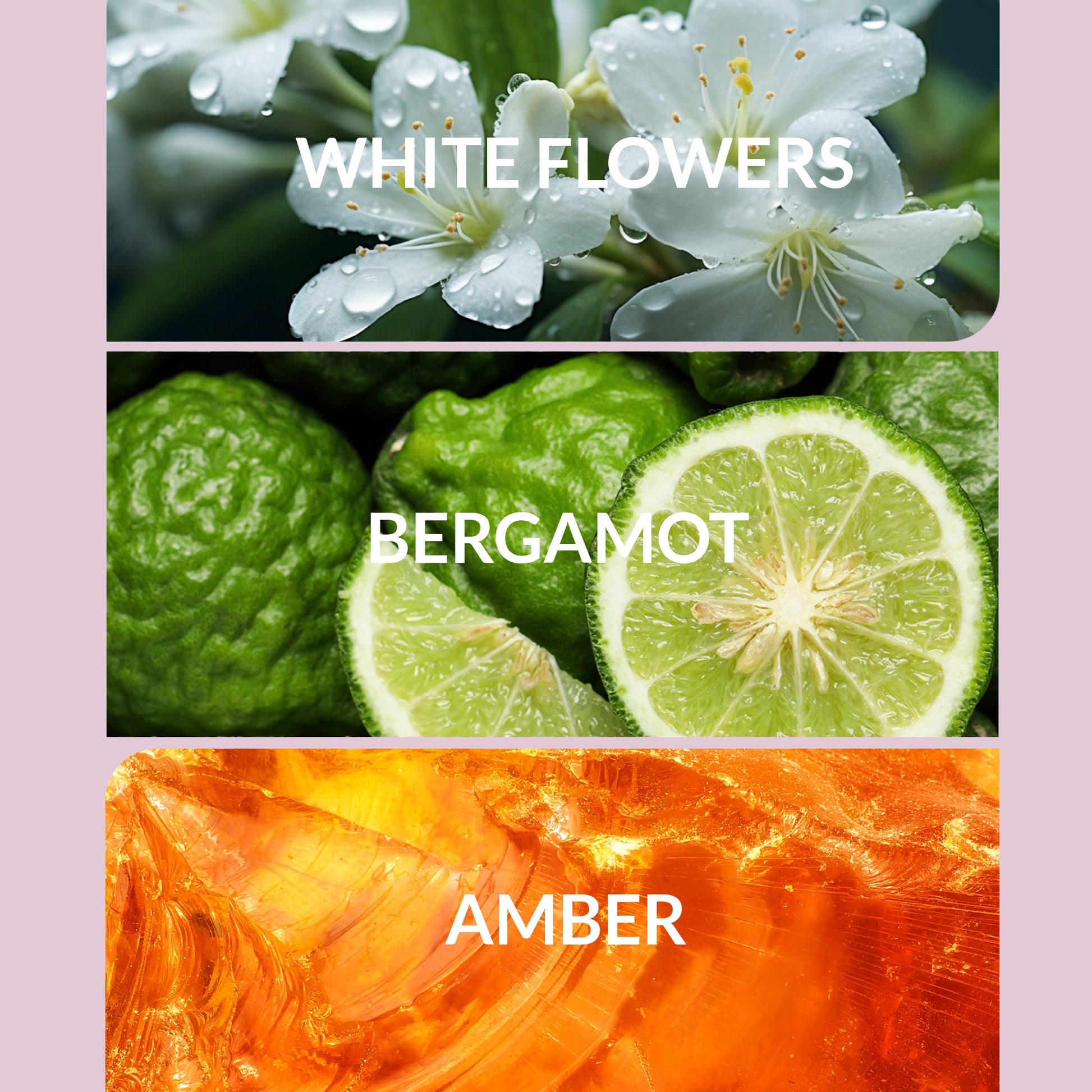 Trending Wellness Store