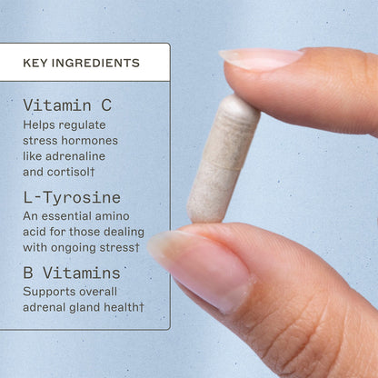 Adrenal Support - Trending Wellness Store