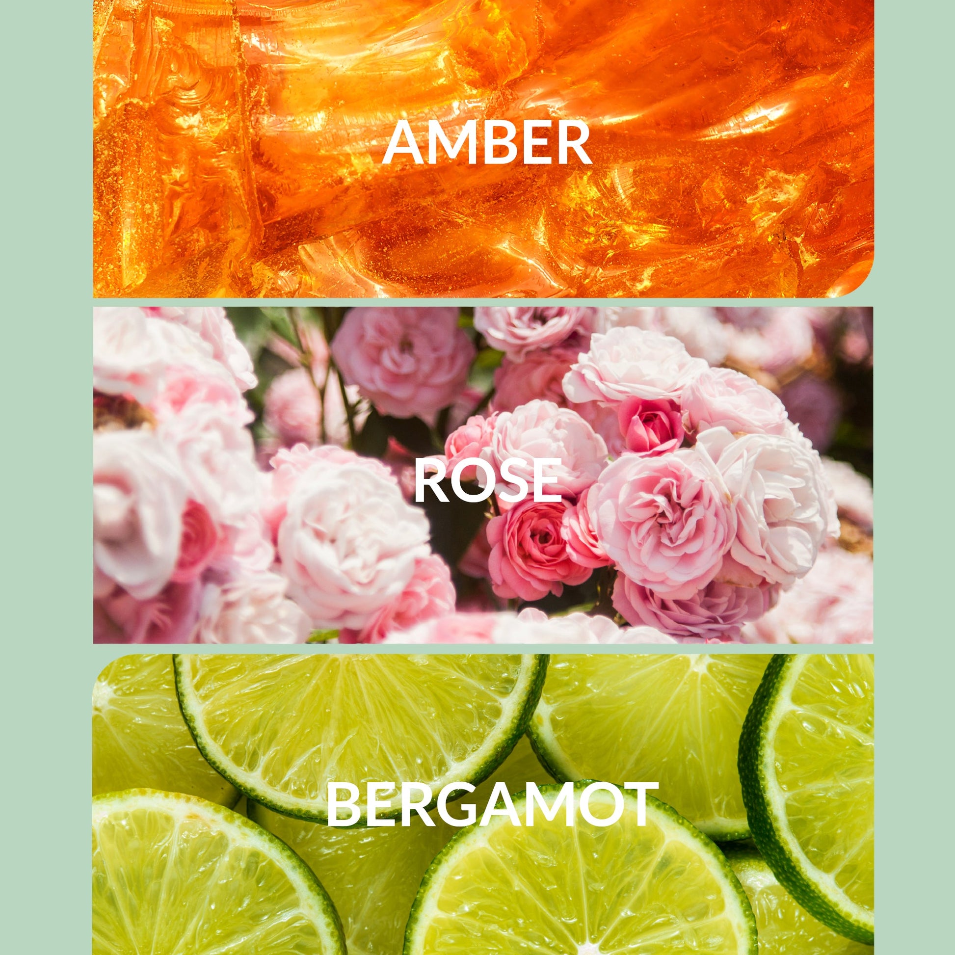 Trending Wellness Store