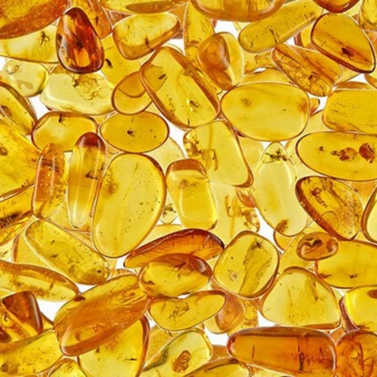Amber - Trending Wellness Store