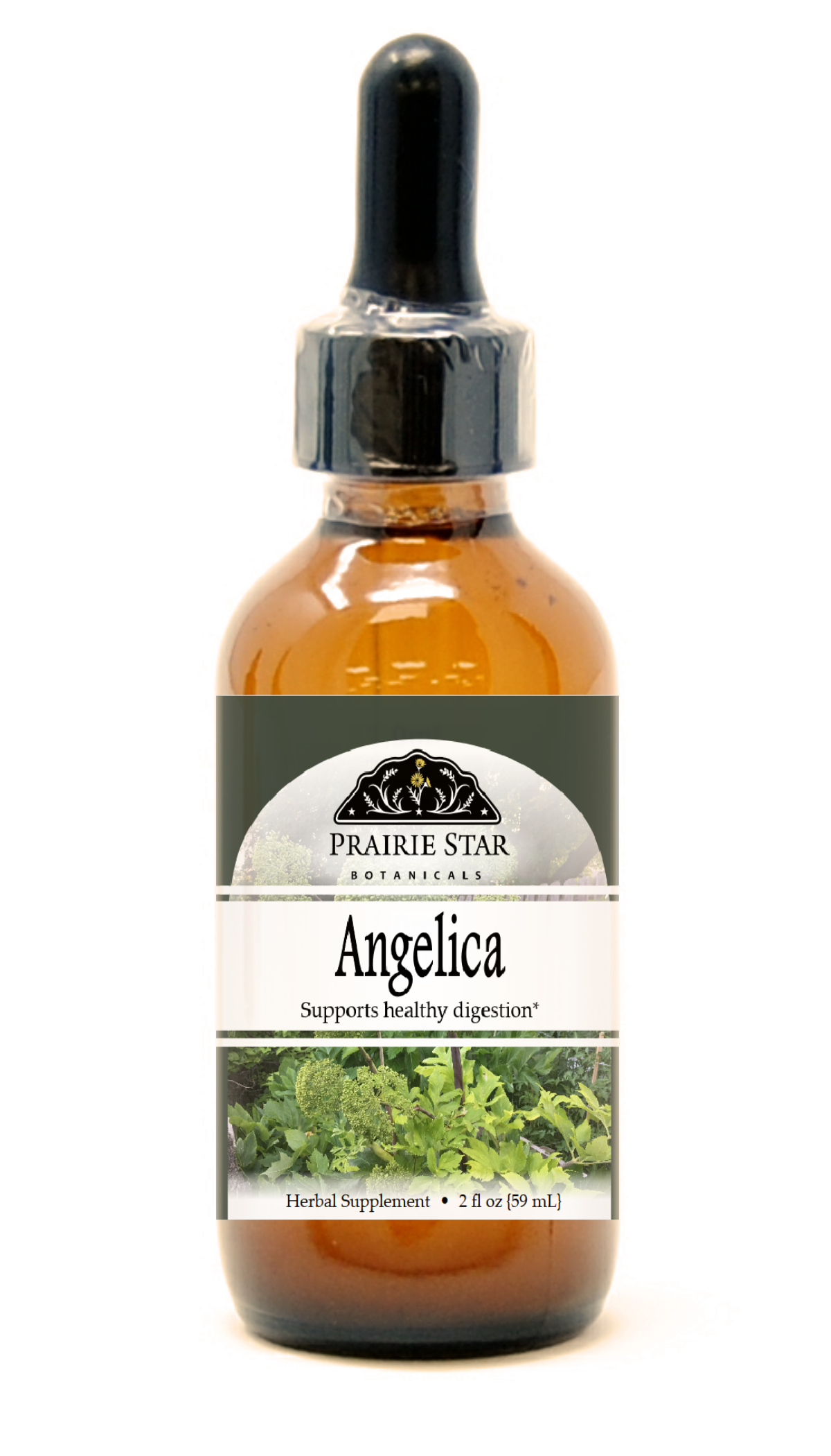 Trending Wellness Store