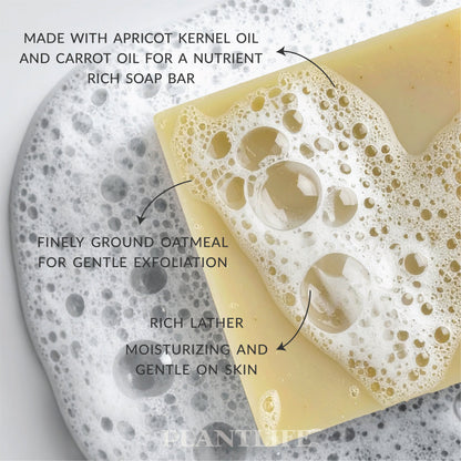 Apricot Oatmeal Skin Bar - Trending Wellness Store