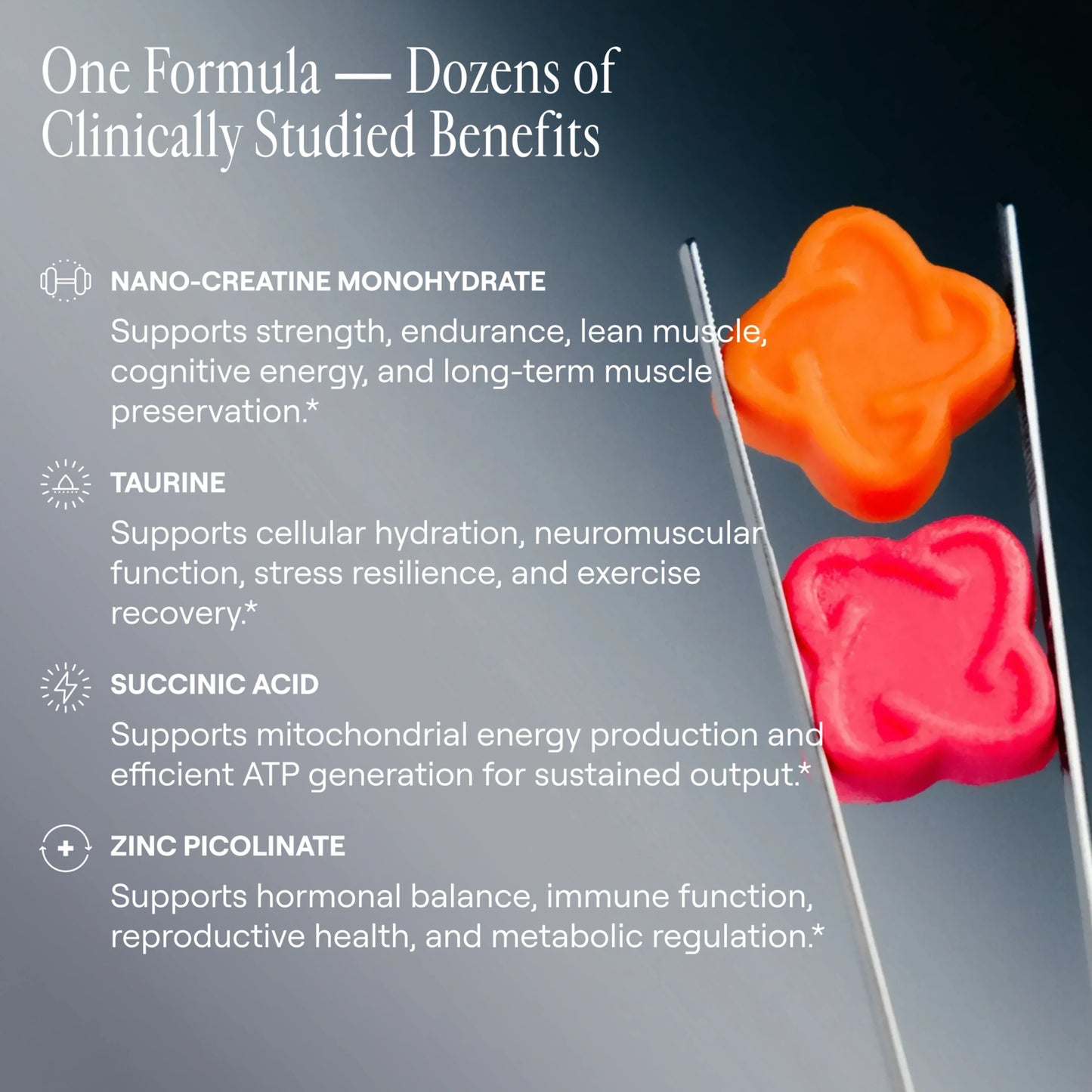 Arq8™ Creatine Monohydrate Gummies - Trending Wellness Store