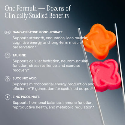 Arq8™ Creatine Monohydrate Gummies - Trending Wellness Store