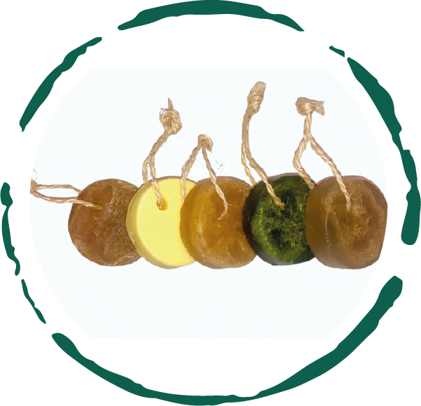 Trending Wellness Store