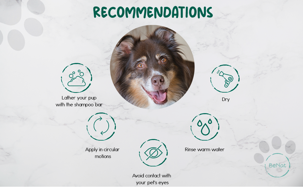 BeNat Pets. All-Natural Pet Shampoo Bar. Oat. 5.8 oz. - Trending Wellness Store