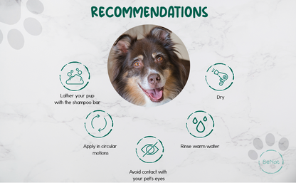 BeNat Pets. All-Natural Pet Shampoo Bar. Oat. 5.8 oz. - Trending Wellness Store