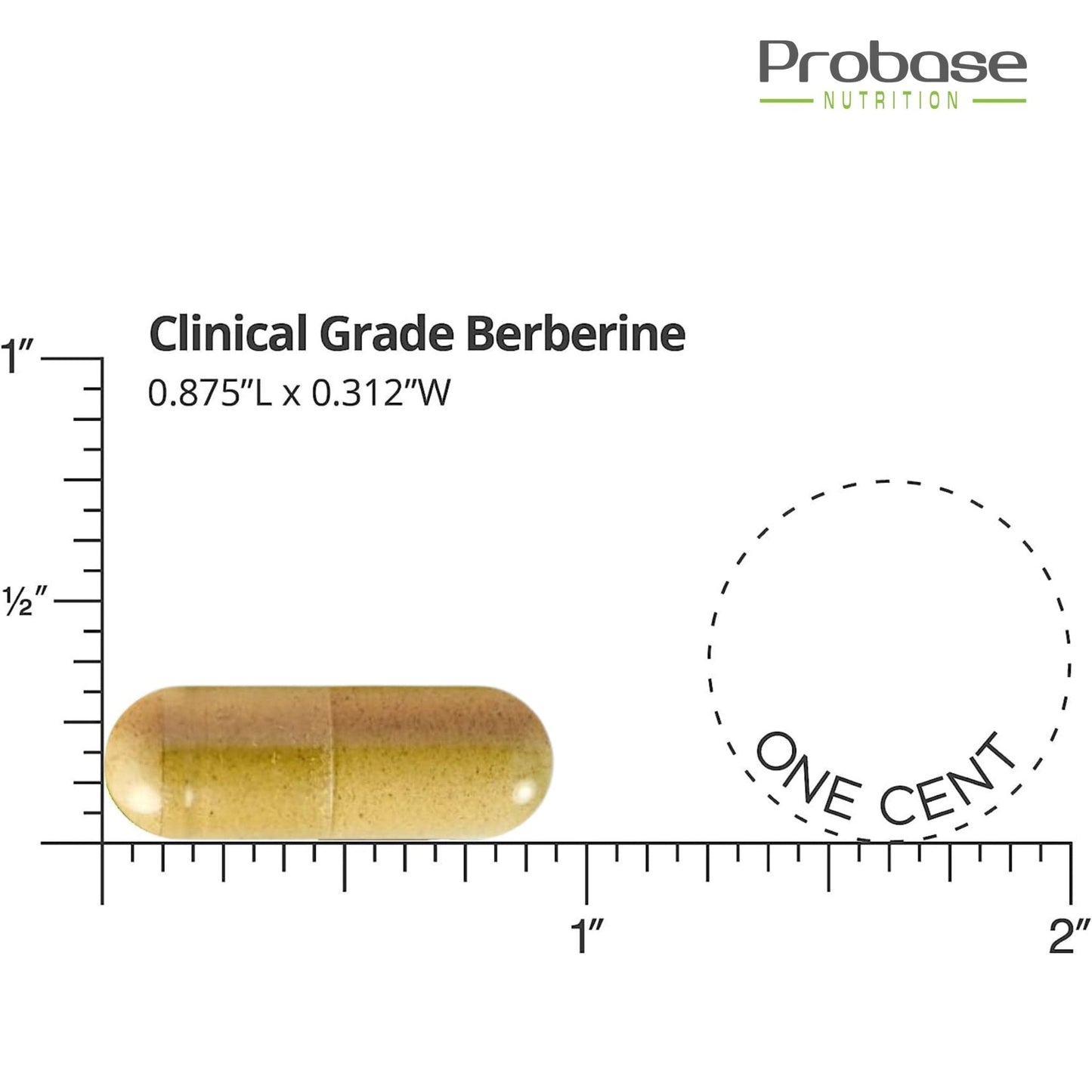 Berberine Supplement - Trending Wellness Store