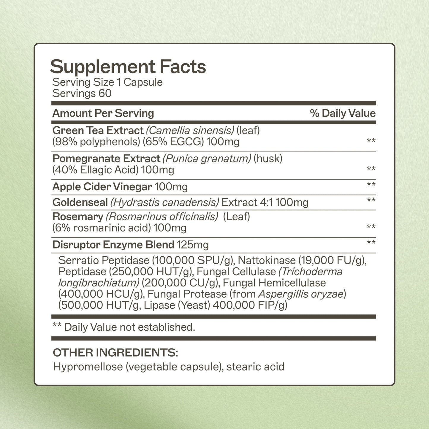 Biofilm Disruptor - Trending Wellness Store