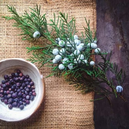 Black Cedarwood + Juniper - Trending Wellness Store