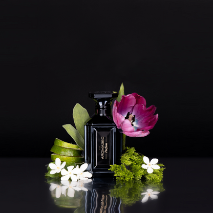 Black - Trending Wellness Store