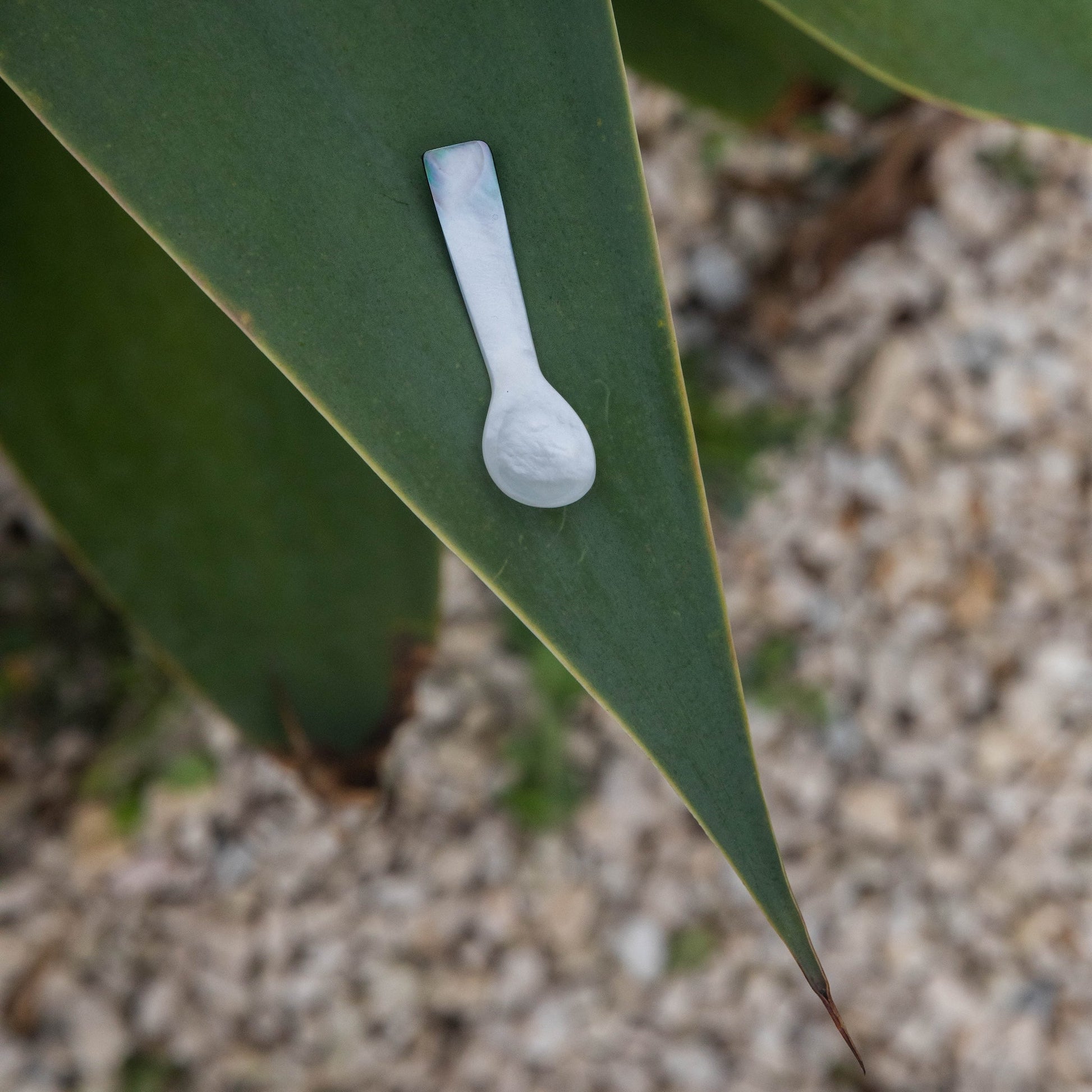 Trending Wellness Store