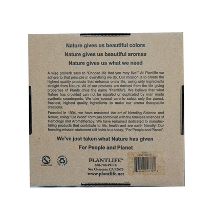 Body Oil 4 Pack - Trending Wellness Store
