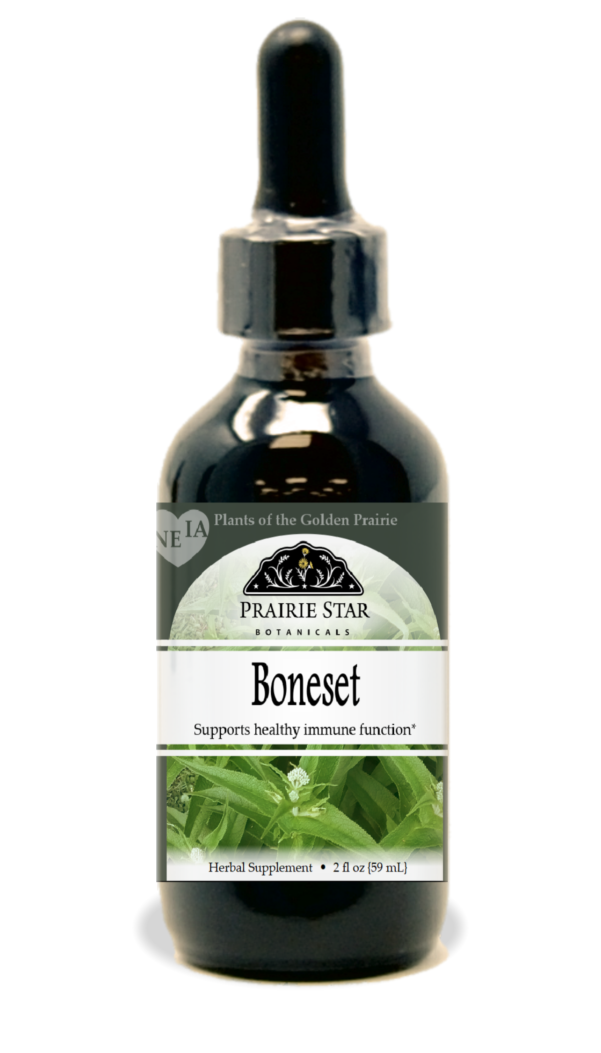 Trending Wellness Store