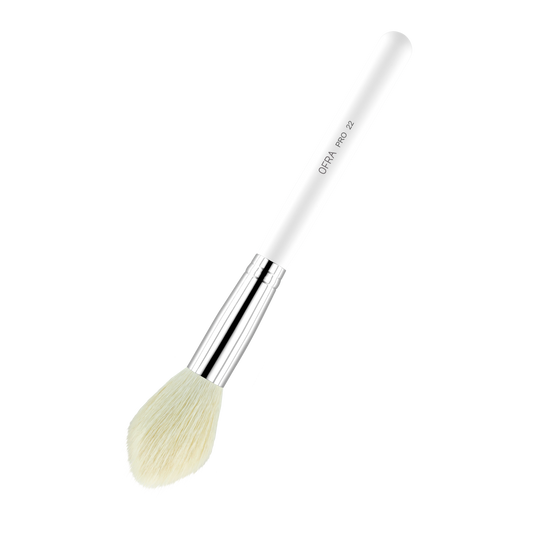 Brush #22 - Blush Brush - Trending Wellness Store