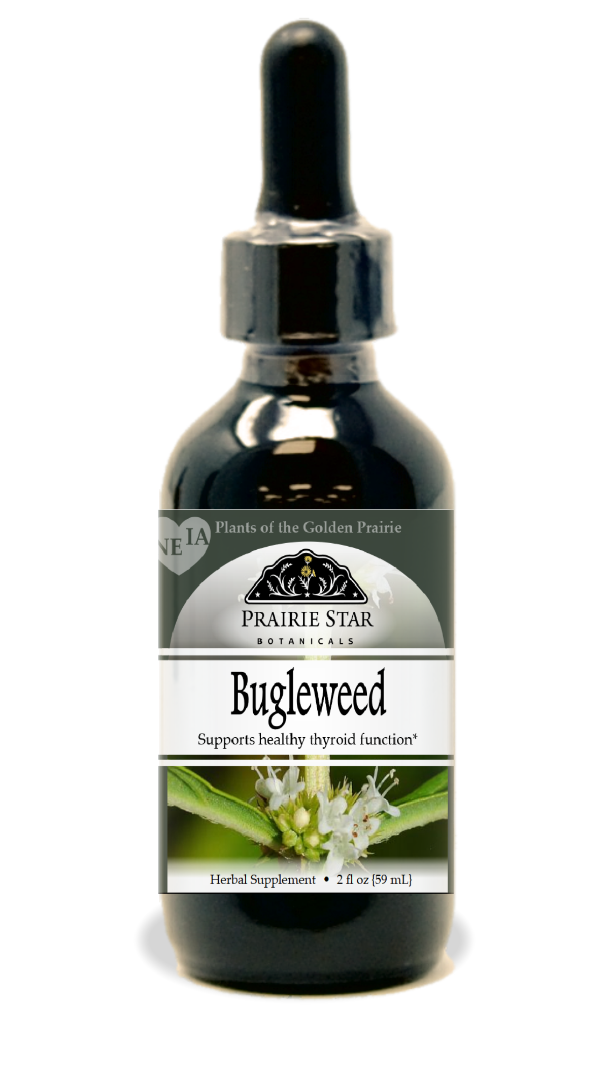 Trending Wellness Store