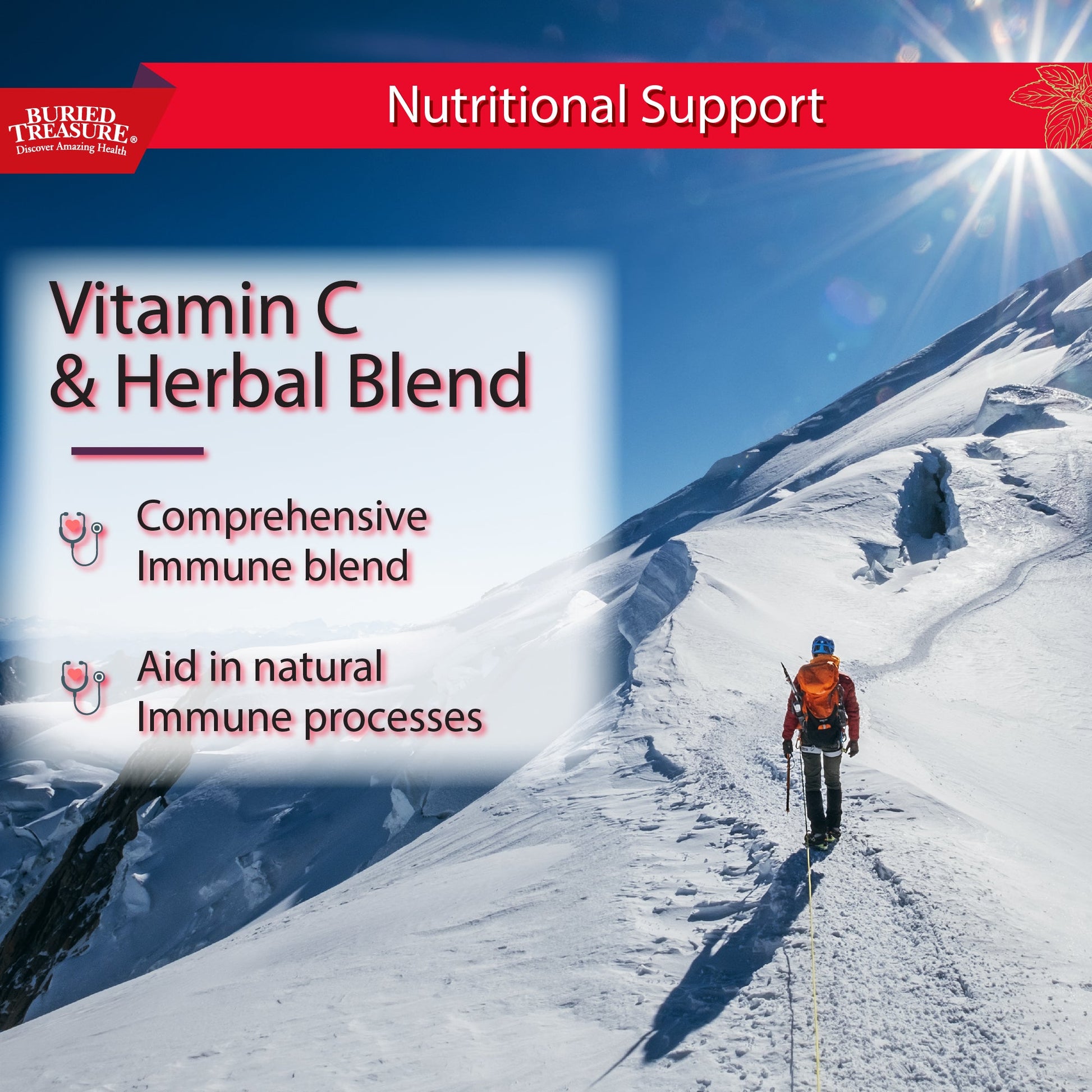 Buried Treasure Liquid Nutrients® ACF Extra Strength – Liquid Immune Support with Vitamin C, Zinc & Botanical Extracts - Trending Wellness Store