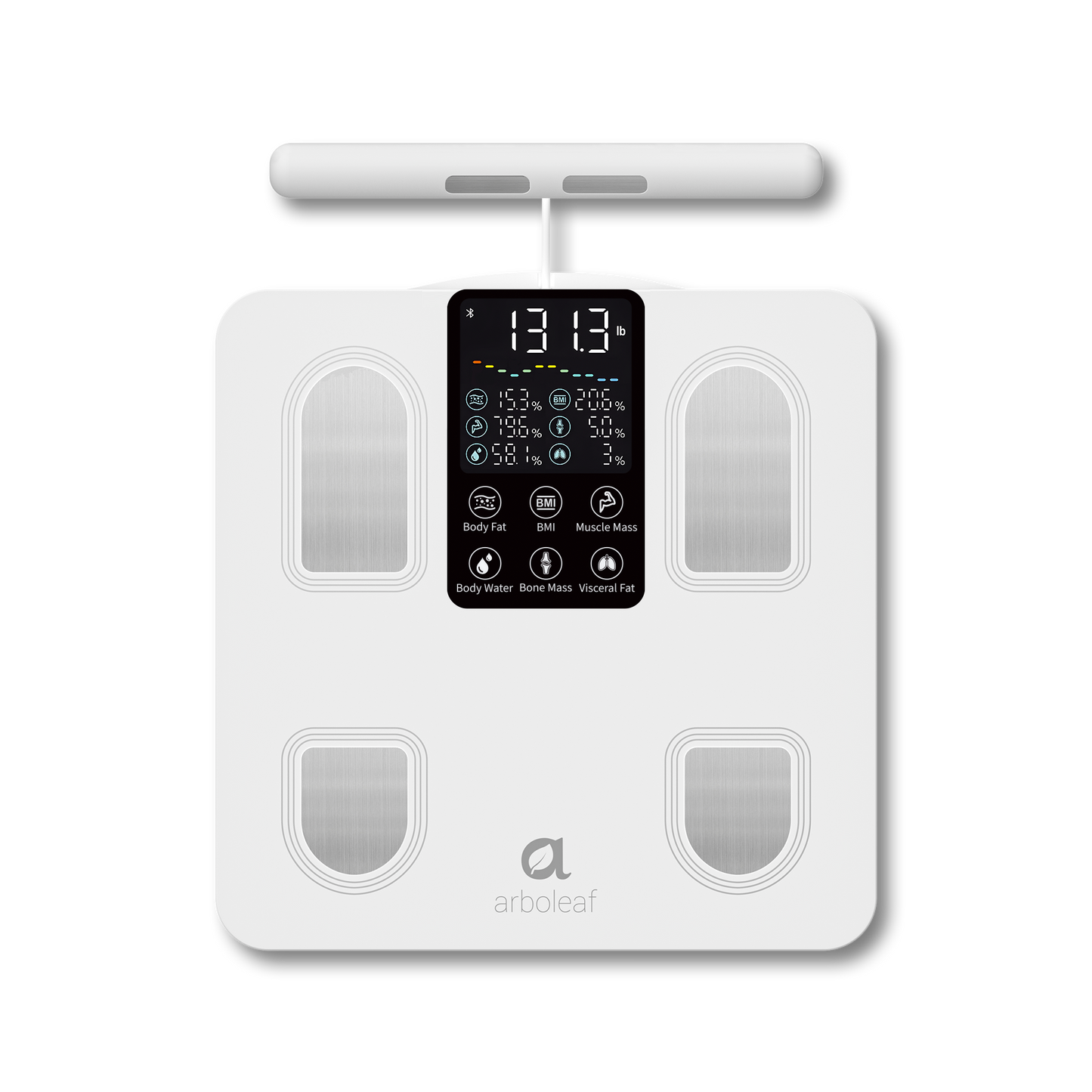 Segmental Smart Scale CS10E