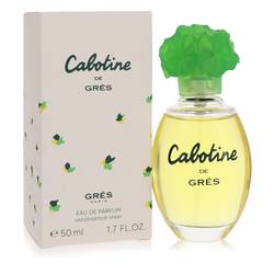 Trending Wellness Store