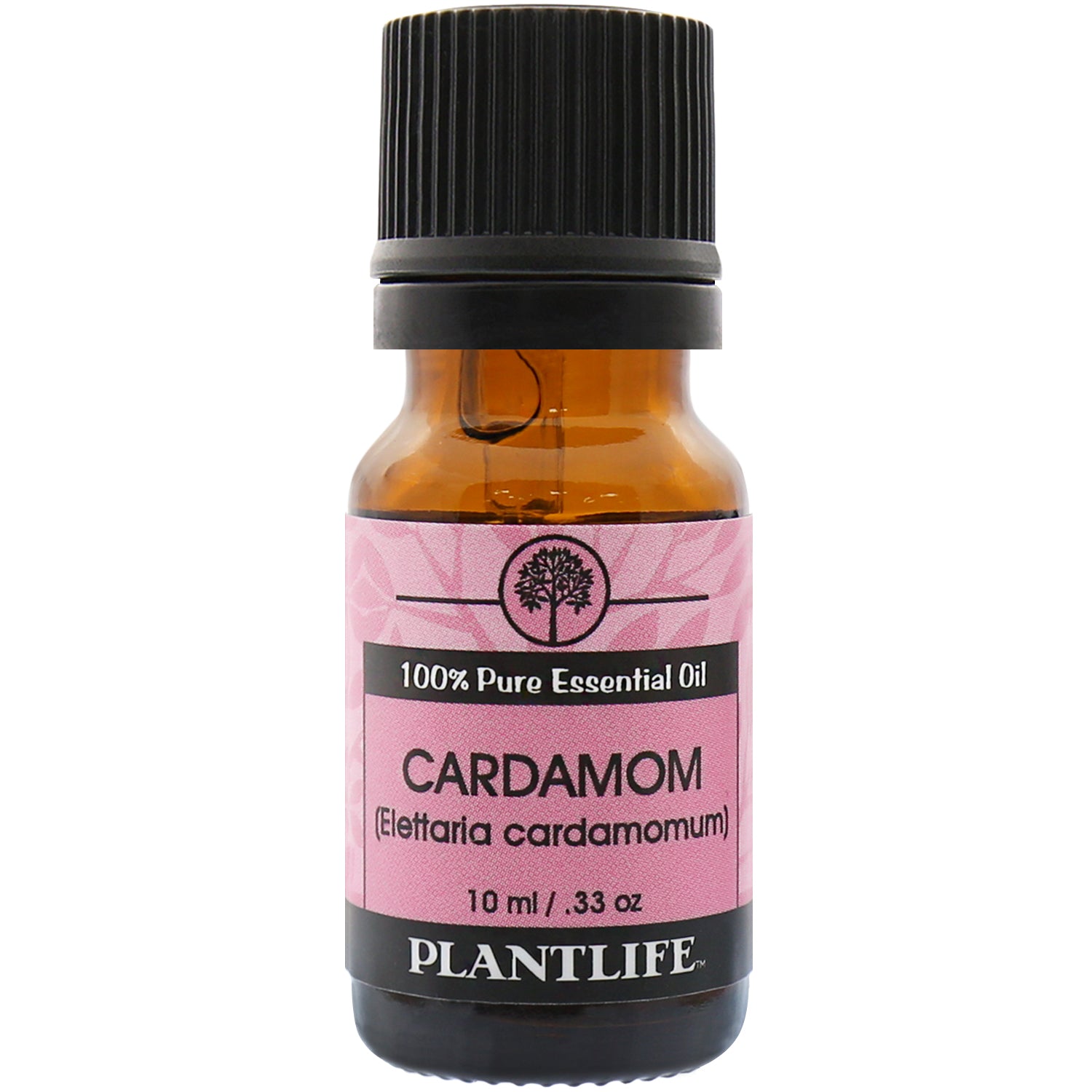 Cardamom Essential Oil - Trending Wellness Store