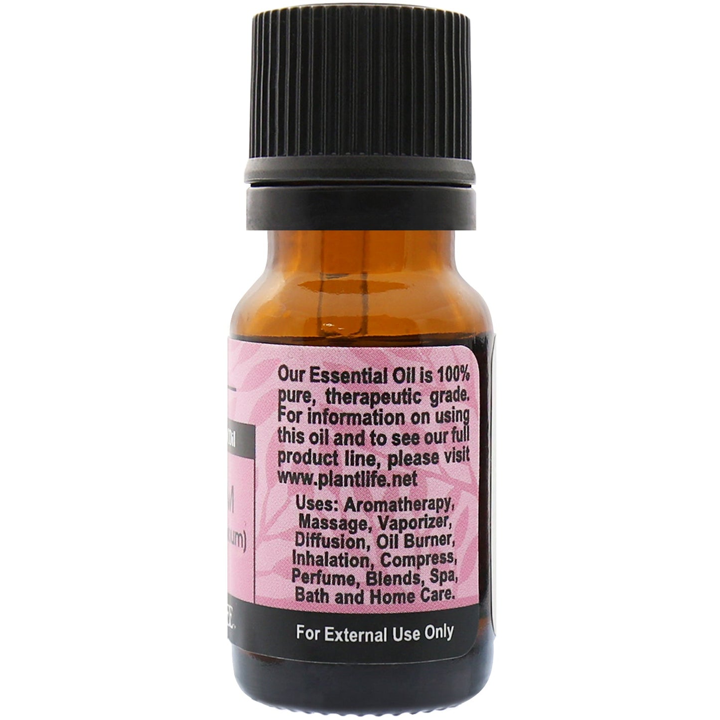 Cardamom Essential Oil - Trending Wellness Store