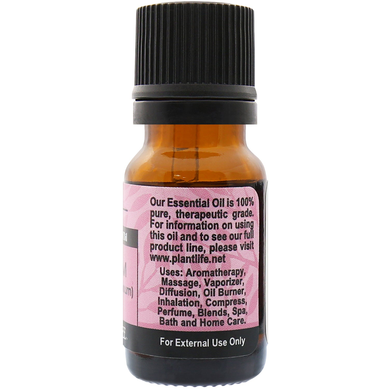 Cardamom Essential Oil - Trending Wellness Store