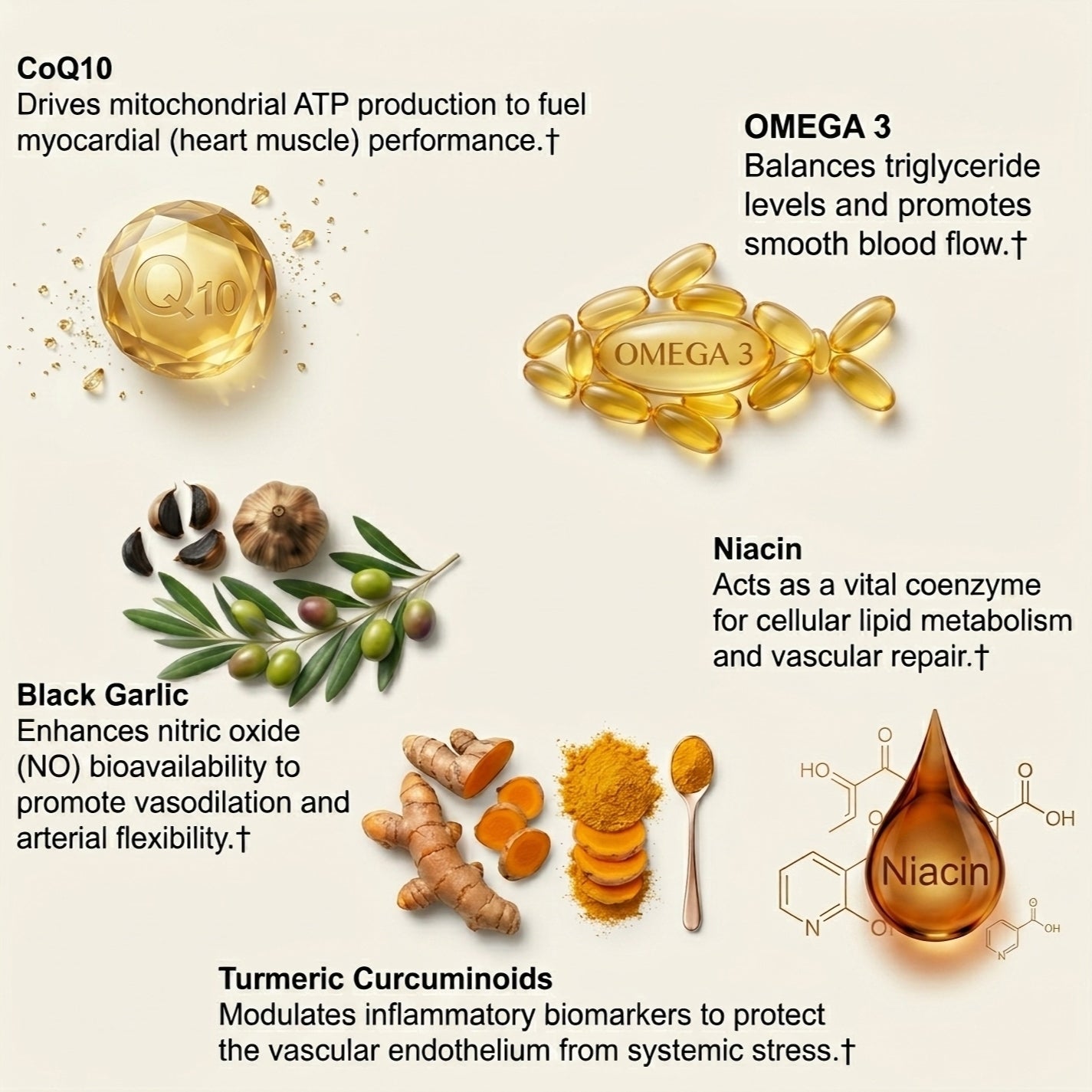 Plant Sterols Citrus Bergamot - Trending Wellness Store
