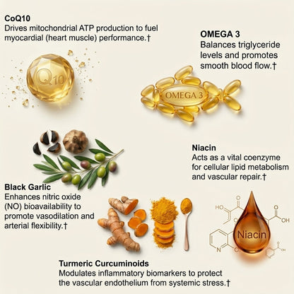 Plant Sterols Citrus Bergamot - Trending Wellness Store
