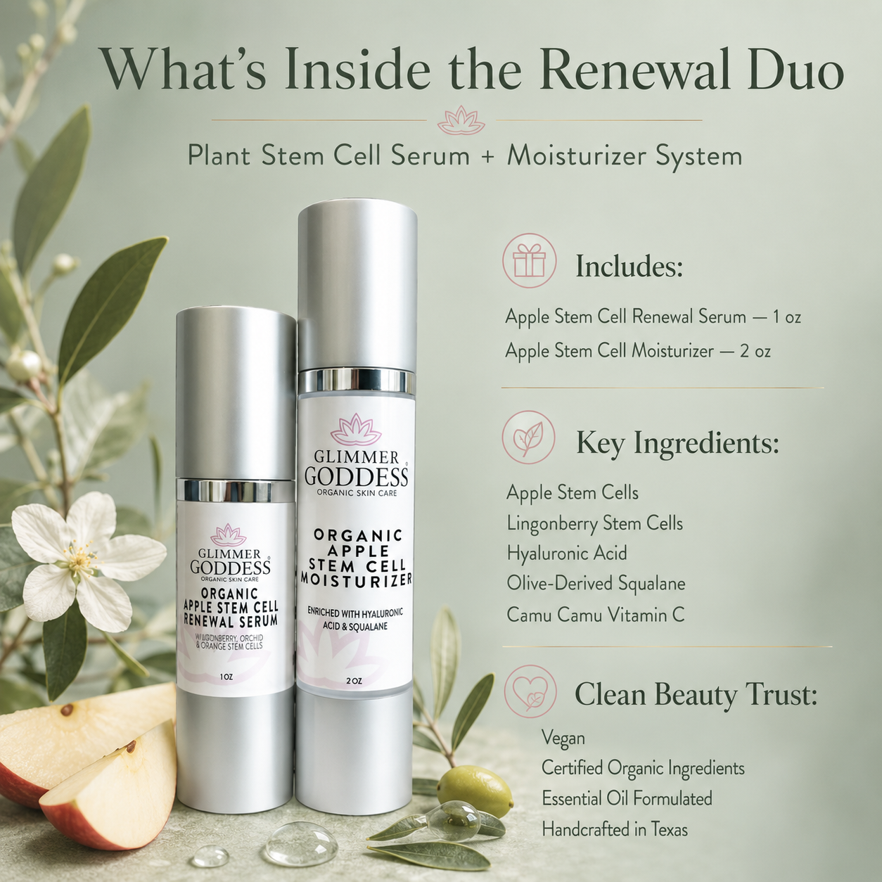 Cellular Renewal Duo – Apple Stem Cell Serum + Moisturizer - Trending Wellness Store