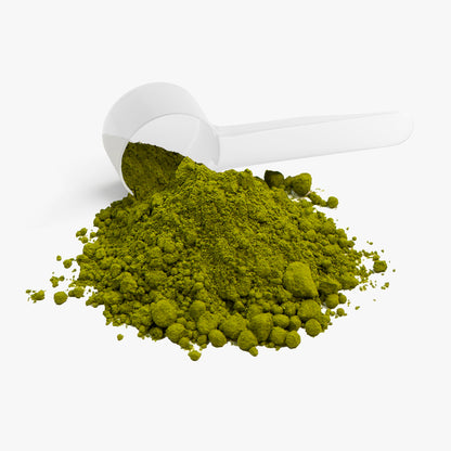 Ceremonial Matcha Powder - Trending Wellness Store